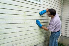 Best Insulated Siding Installation  in El Jon, CA